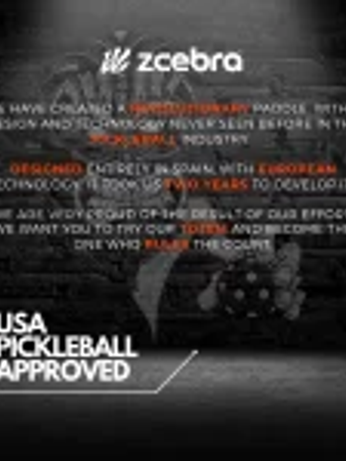 Raquete de Pickleball Zcebra TOTEM Black Stream Series 10