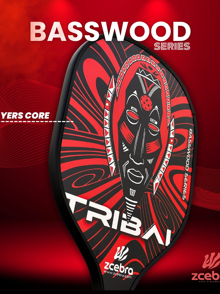 Raquetes de Pickleball Zcebra Kit: 2 Raquetes, 2 Balas 2