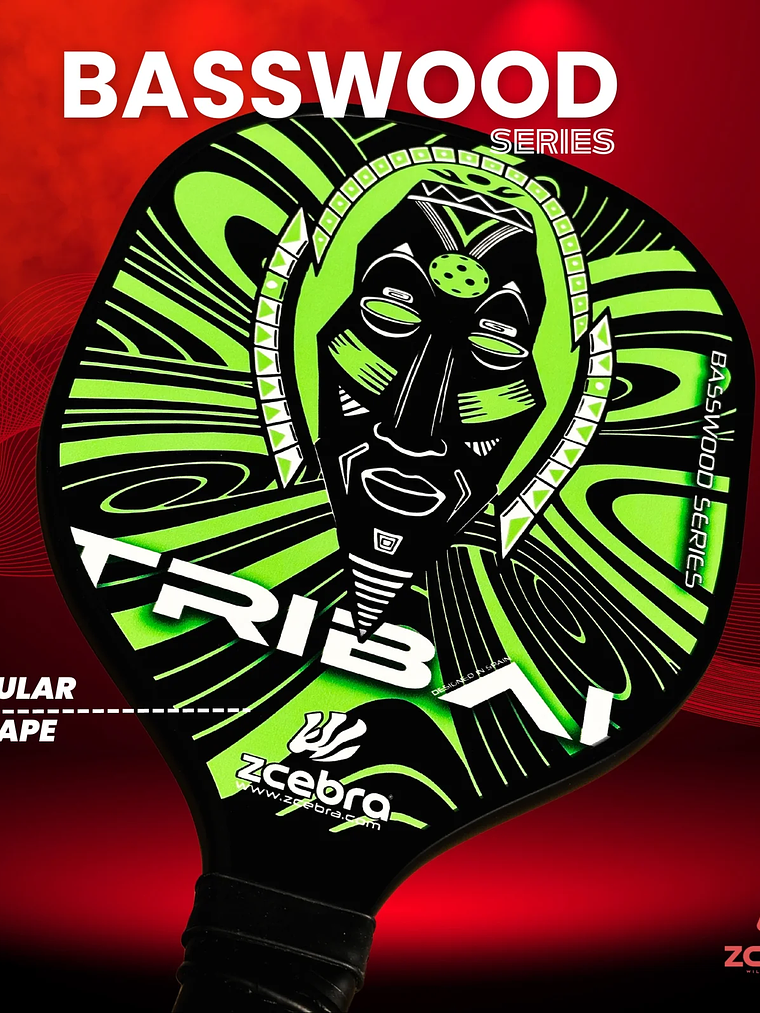 Raquetes de Pickleball Zcebra Kit: 2 Raquetes, 2 Balas 4