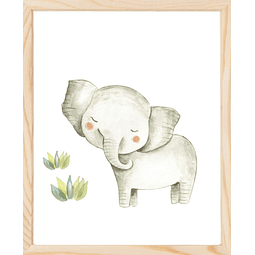 Cuadro elefante