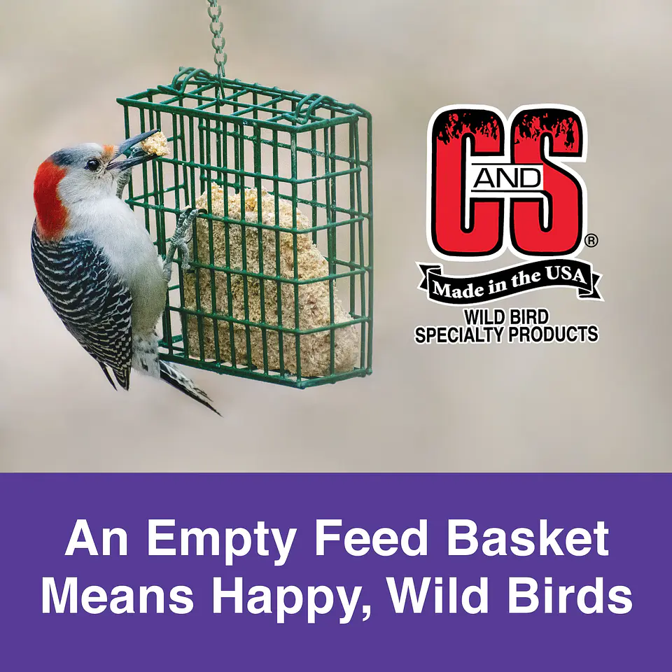 C&S Berry Treat Suet Wild Bird Food 3