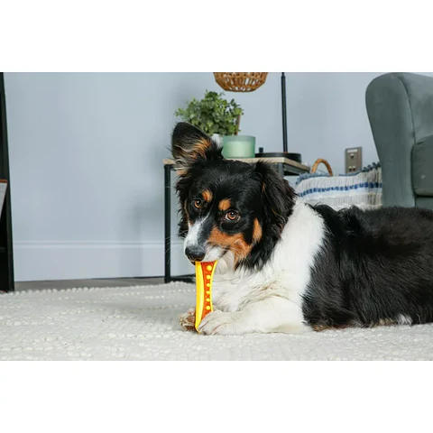 Hartz Chew 'n Clean Dental Duo Dog Toy