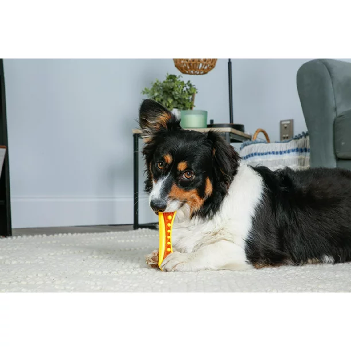 Hartz Chew 'n Clean Dental Duo Dog Toy 2