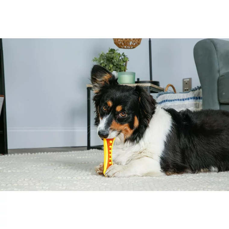 Hartz Chew 'n Clean Dental Duo Dog Toy 2