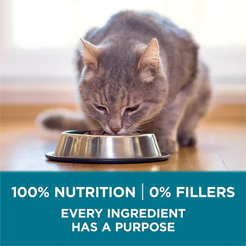 Purina One Tender Selects Blend Dry Cat Food Salmon