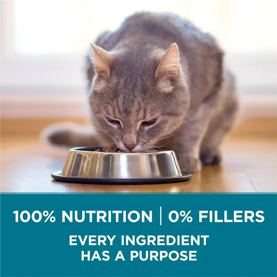 Purina One Tender Selects Blend Dry Cat Food Salmon 2