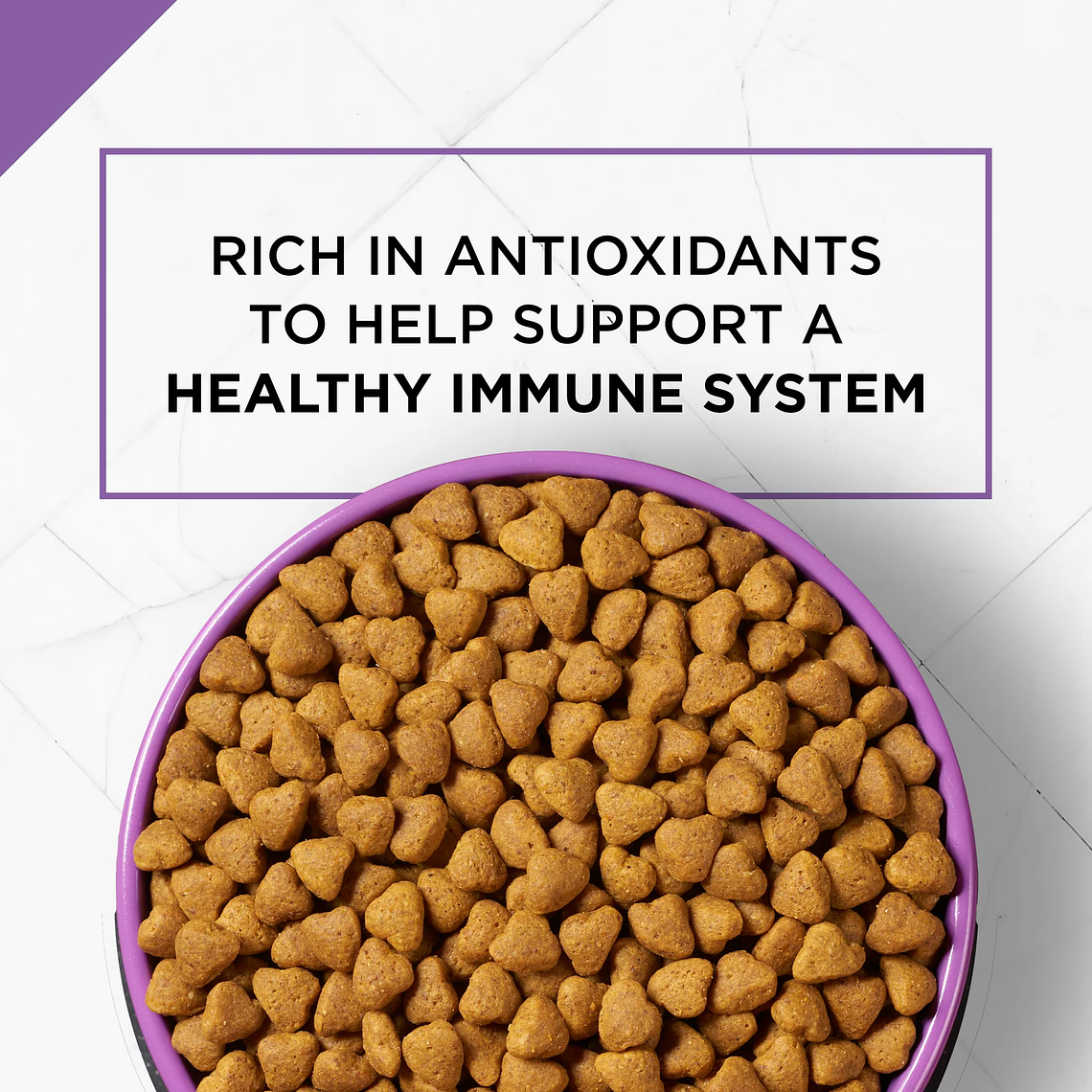 Purina Pro Plan Dry Dog Food, SPORT Active 26/16 Formula 2