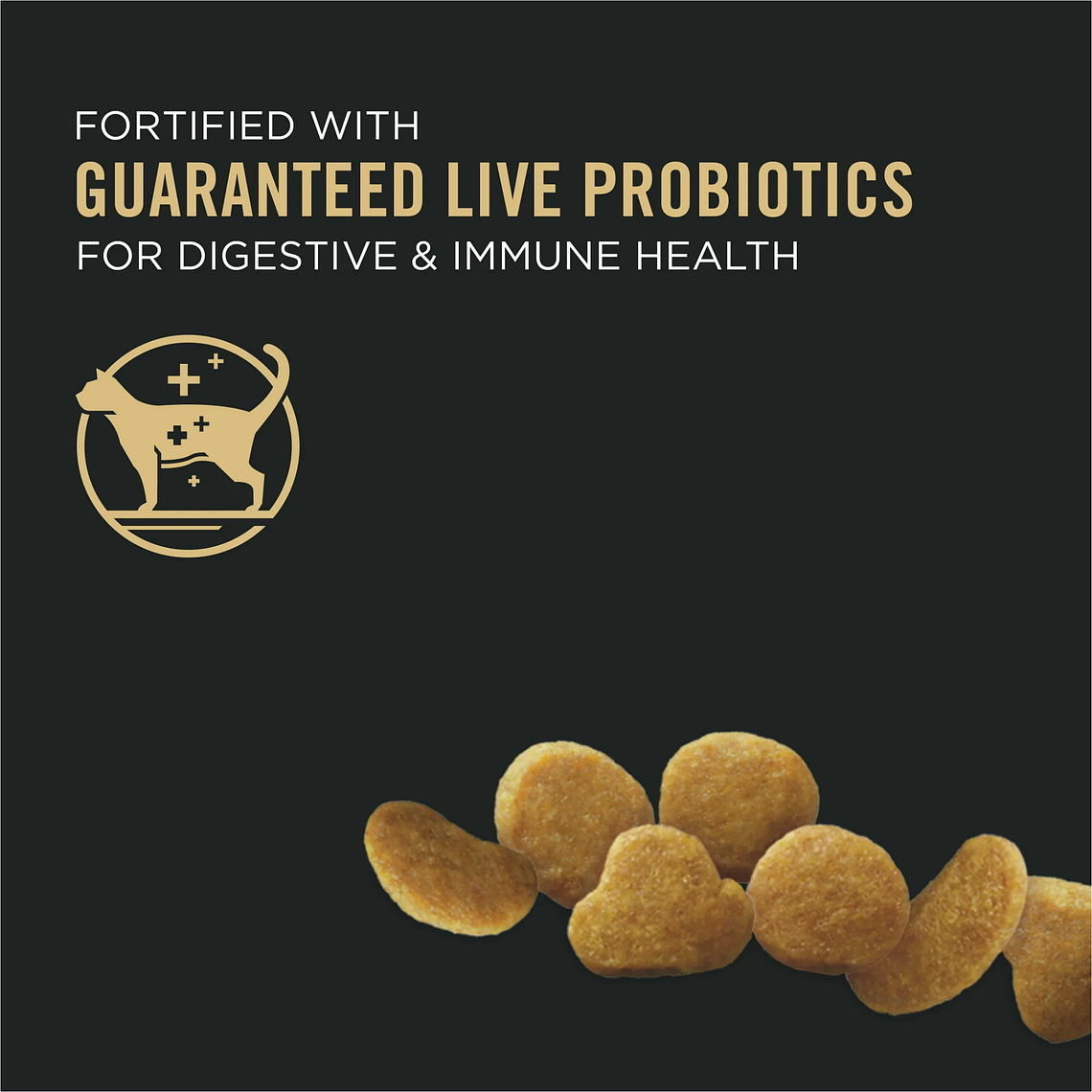 Purina Pro Plan Dry Kitten Food for Kittens Chicken Rice Dry Cat Food 3