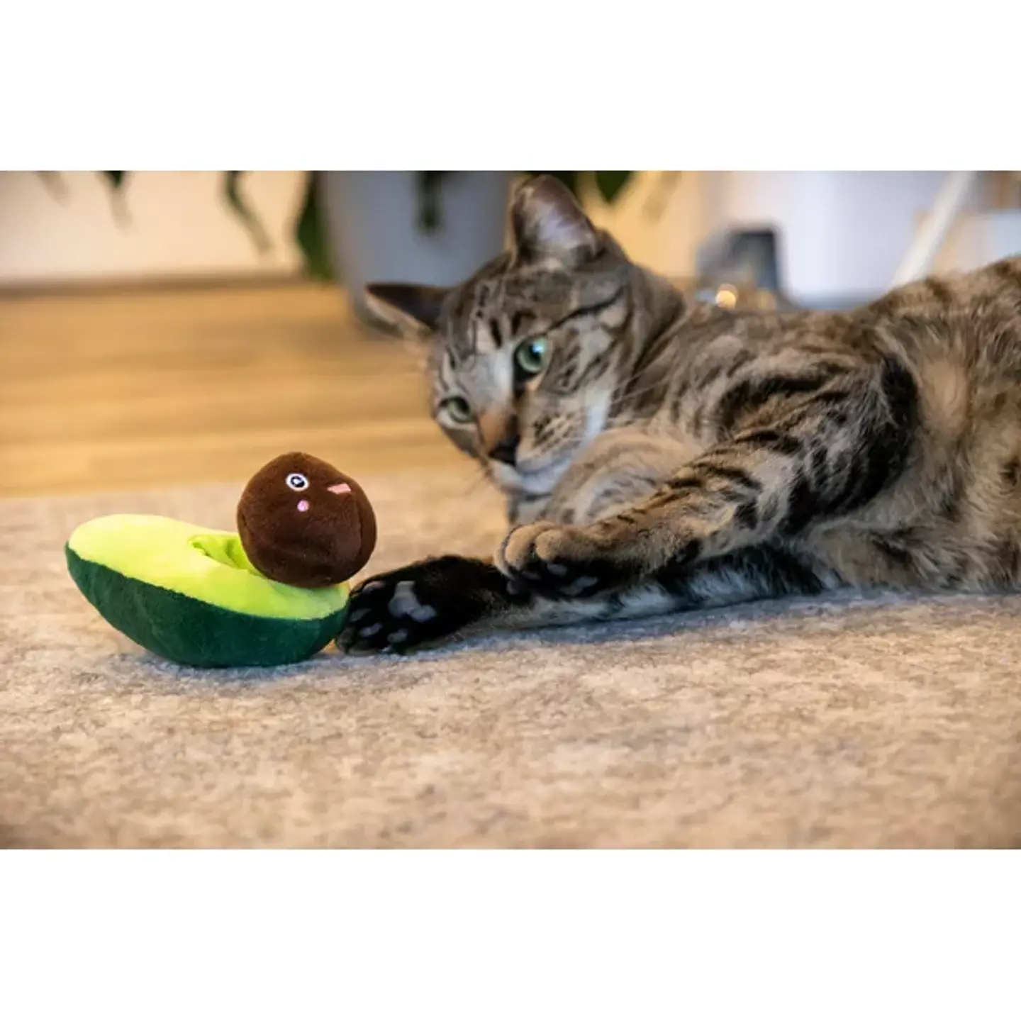 Vibrant Life Avocado Cat 3.14