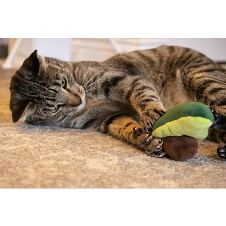 Vibrant Life Avocado Cat 3.14