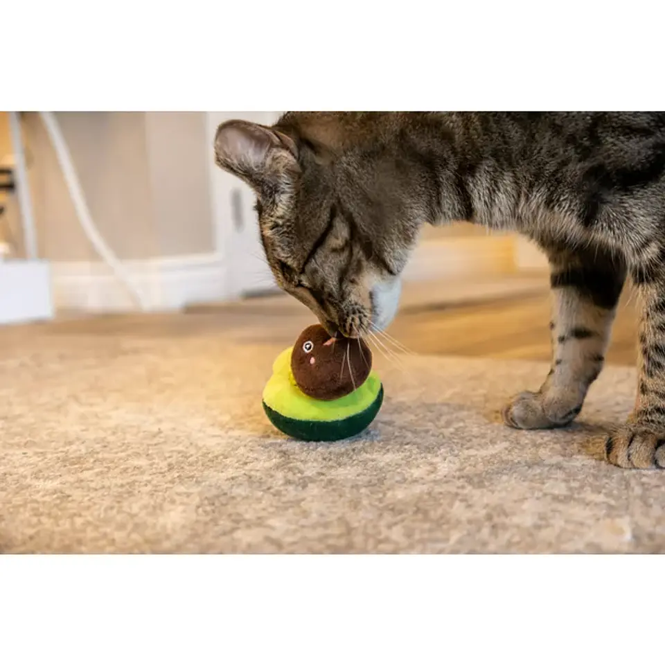 Vibrant Life Avocado Cat 3.14