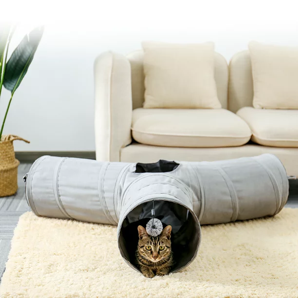 PAWZ Road Cat Tunnel Collapsible 3 Ways  5