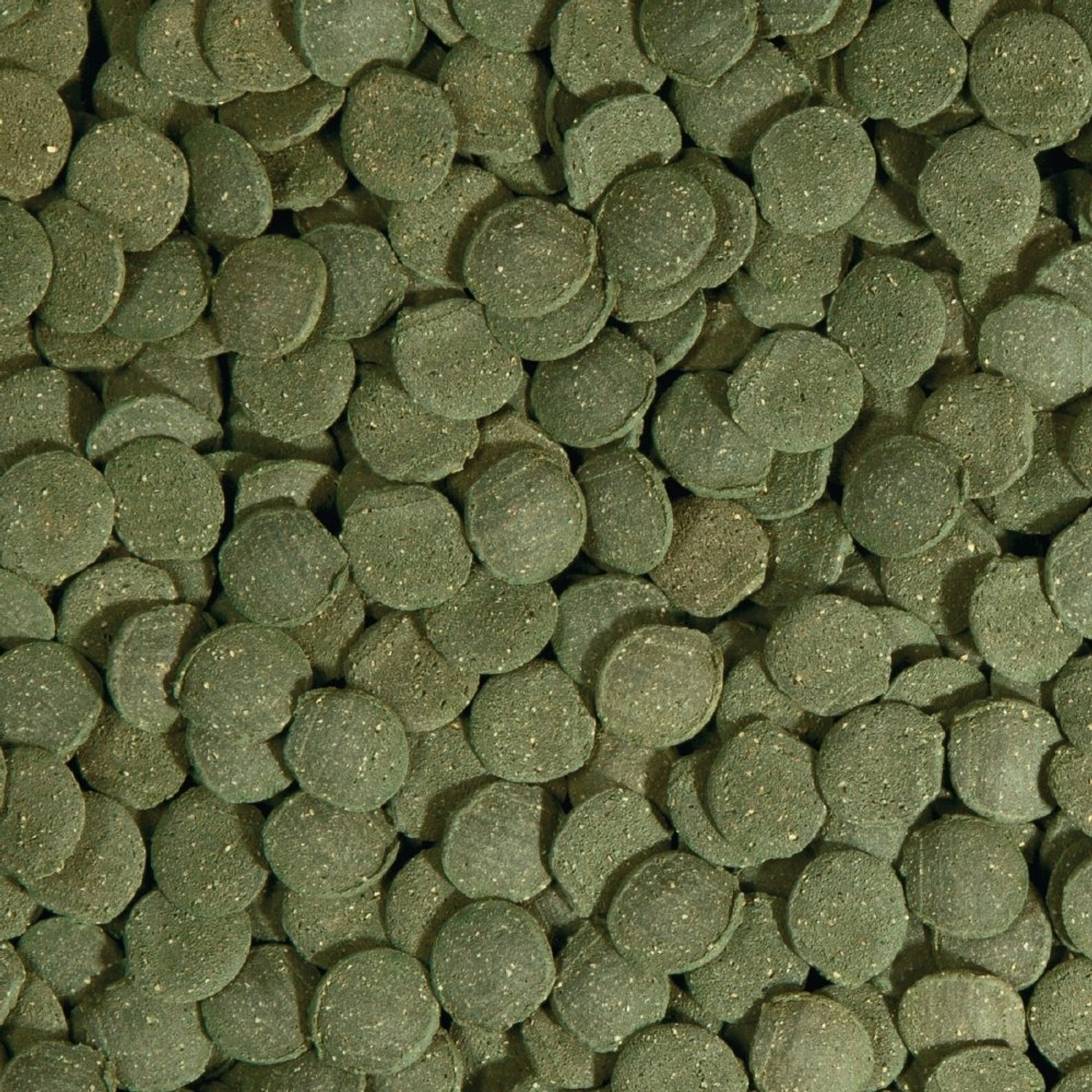 Tetra Plecowafers Nutritionally Balanced Fish Food for Algae Eaters 3