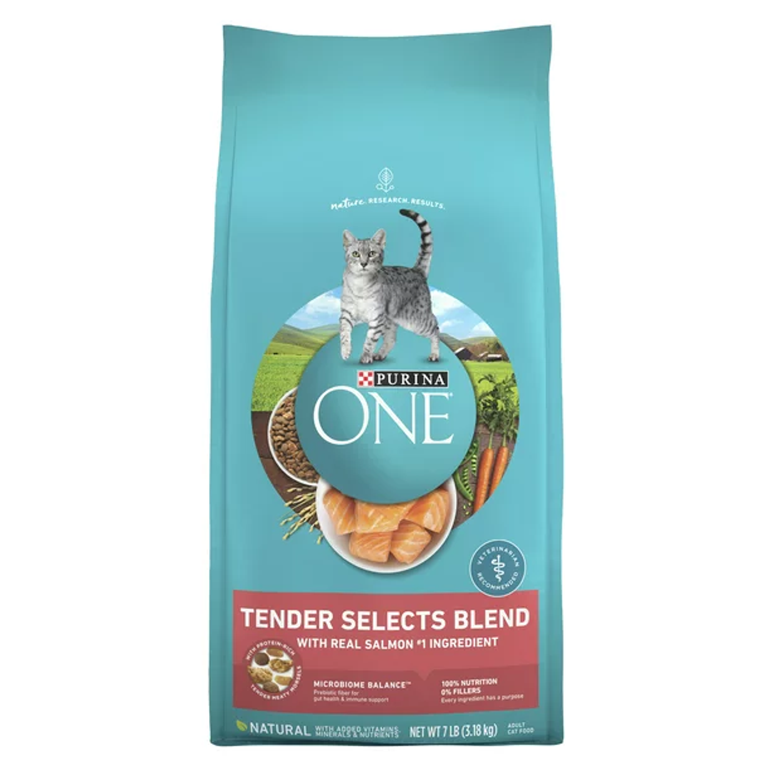 Purina One Tender Selects Blend Dry Cat Food Salmon 1