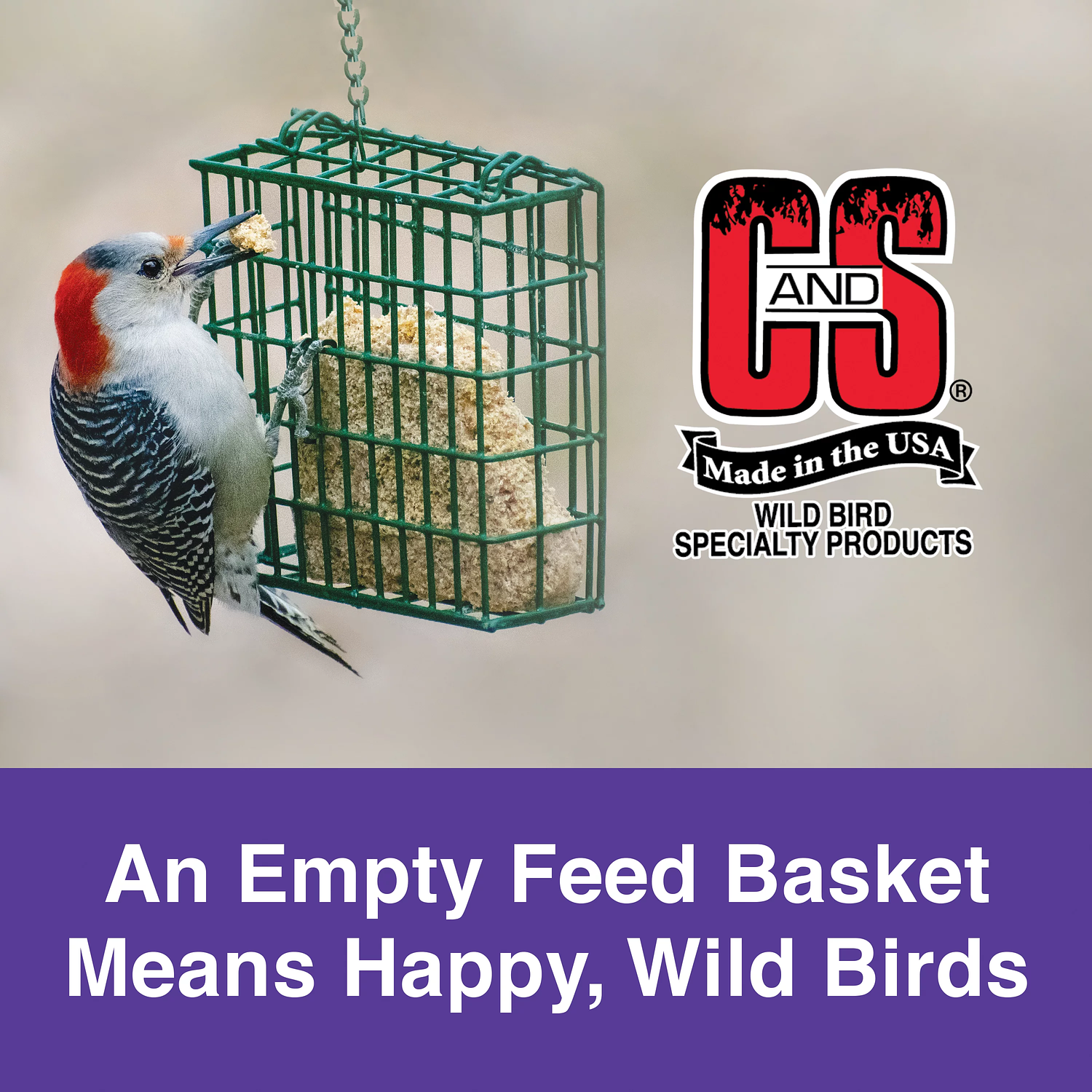C&S Berry Treat Suet Wild Bird Food 3