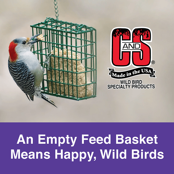 C S Berry Treat Suet Wild Bird Food