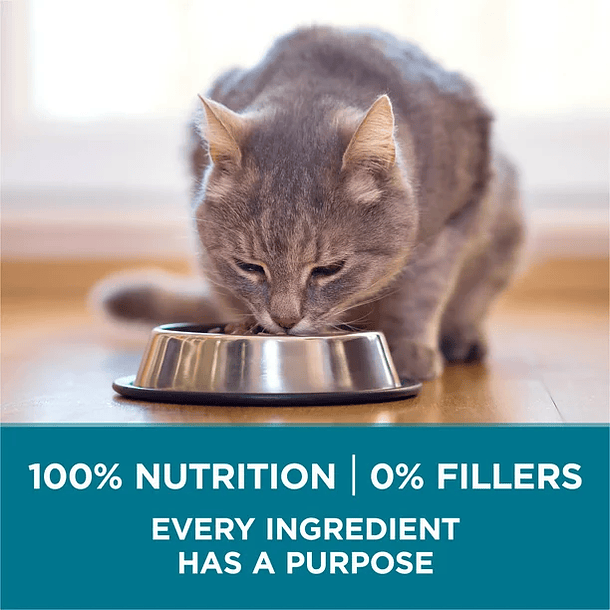 Purina One Tender seleciona mistura de comida seca para gatos salmão 2