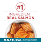 Purina One Tender Selects Blend Dry Cat Food Salmon - Thumbnail 3