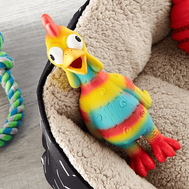 Vibrant Life Playful Buddy Tie Dye Chicken Dog Toy 4