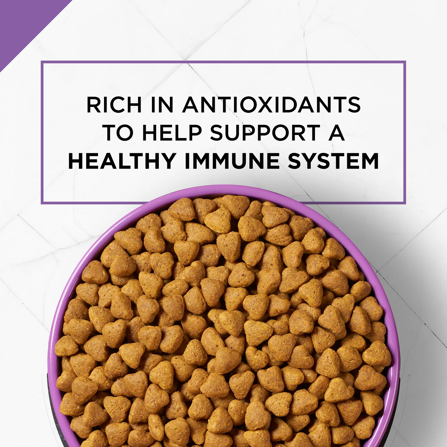 Purina Pro Plan Alimento seco para perros, fórmula SPORT Active 26/16 2