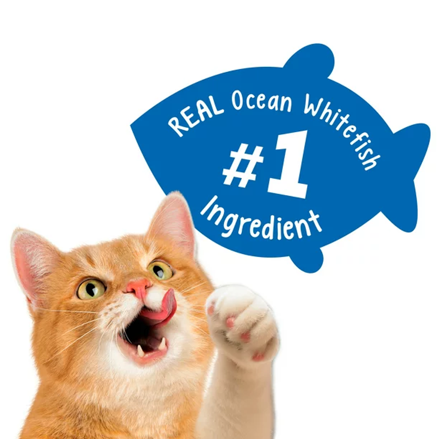 Purina Friskies Party Mix Golosinas con sabor a camarones, cangrejo y atún para gatos 2