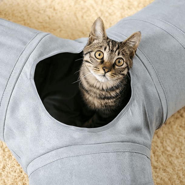 PAWZ Road Cat Tunnel Collapsible 3 Ways  6