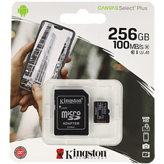 Cartão sd KINGSTON 256 gb