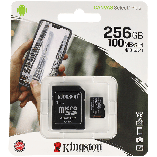 Cartão sd KINGSTON 256 gb 1