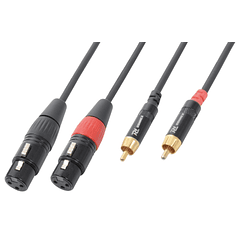 Cabo 2x Canon Fêmea - 2x RCA Macho (6 mts) - Power Dynamics CONNEX