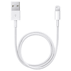 Cabo USB A Macho - Lightning Macho 50cm (Branco) - APPLE 1
