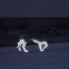 Spray de Sinalização Reflector Temporário Transparente p/ Pêlo de Animais (200ml) - ALBEDO100 2