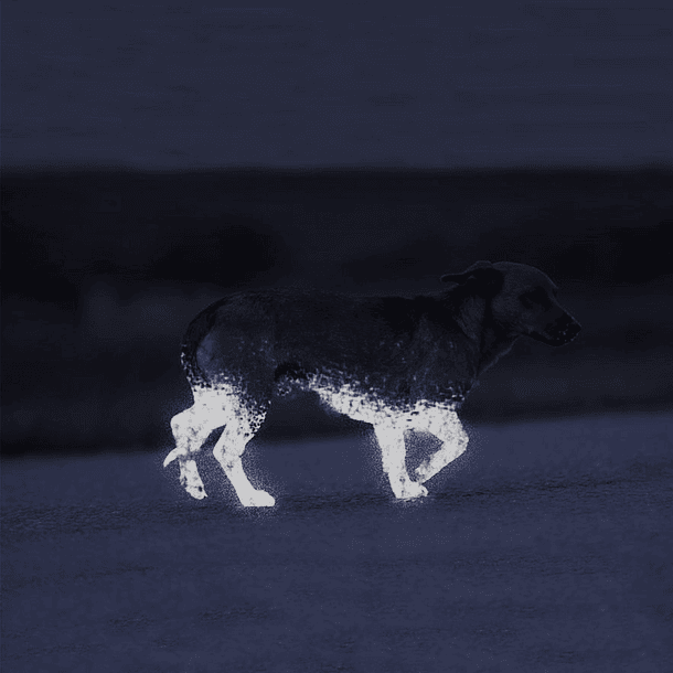 Spray de Sinalização Reflector Temporário Transparente p/ Pêlo de Animais (200ml) - ALBEDO100 2