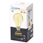 Lâmpada LED Inteligente E27 A60 Filamento Smart Wi-Fi 220V 6W 2700K ~ 6500K 806Lm (Âmbar) 3