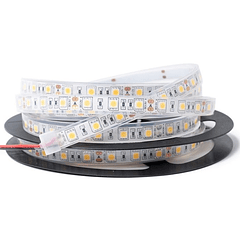 Fita 300 LEDs SMD5050 Flexivel IP68 Branco F. 6000K 12V - 5 mts