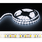 Fita 600 LEDs SMD2835 Flexivel IP65 Branco Frio 12V - 5 mts 1