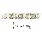 Fita 600 LEDs SMD2835 Flexivel IP65 Branco Frio 12V - 5 mts 2