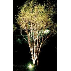 Projector LED p/ Encastrar IP65 220V AC 18W Branco F. 6000K 1800Lm