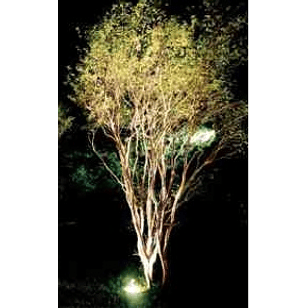 Projector LED p/ Encastrar IP65 220V AC 18W Branco F. 6000K 1800Lm 2