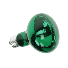 Lampada E27 Verde R80 60W 230V