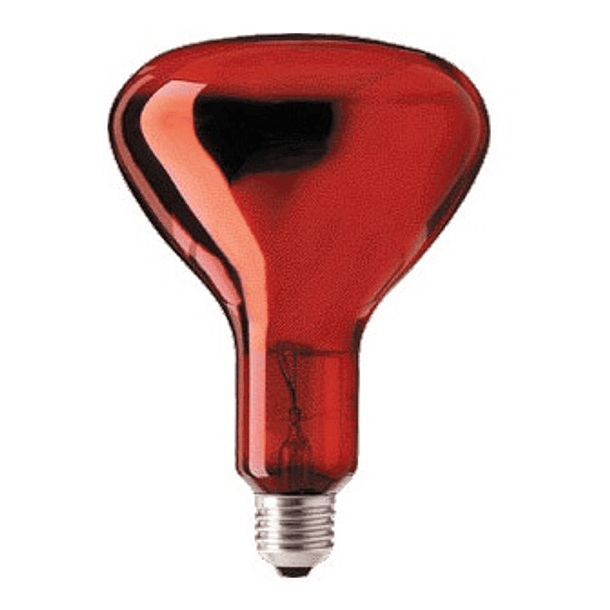 Lampada Infra. Aquecimento E27 R115 250W - GSC 