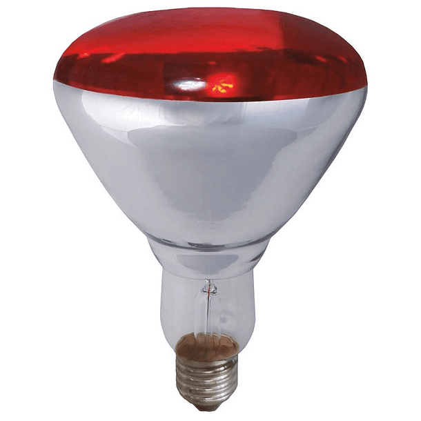 Lampada Infra. Aquecimento E27 R125 250W - GSC 