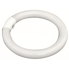 Lampada Fluorescente Circular T9 220V 22W