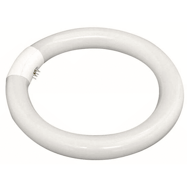 Lampada Fluorescente Circular T9 220V 22W 