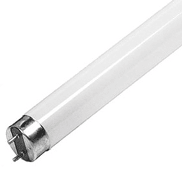 Lampada Fluorescente Ultravioleta BL T8 10W (30cm) p/ Mata-Moscas 