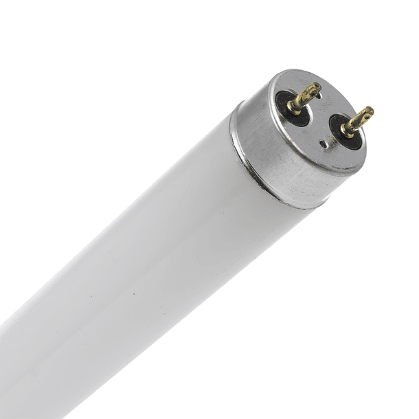 Lampada Fluorescente T8 58W 6400K (1,5 mts) 