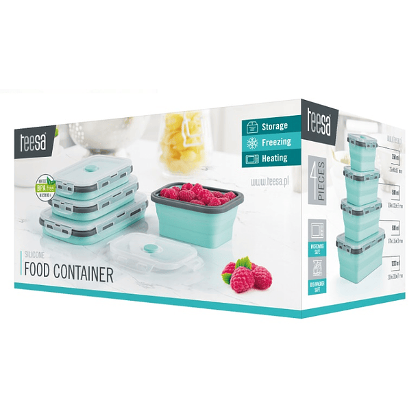 Conjunto de 4 Recipientes Dobráveis - TEESA 4