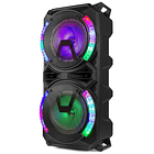 Coluna Amplificada Karaoke 2x 8