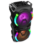 Coluna Amplificada Karaoke 2x 8