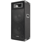 Coluna Bi-Amplificada 15