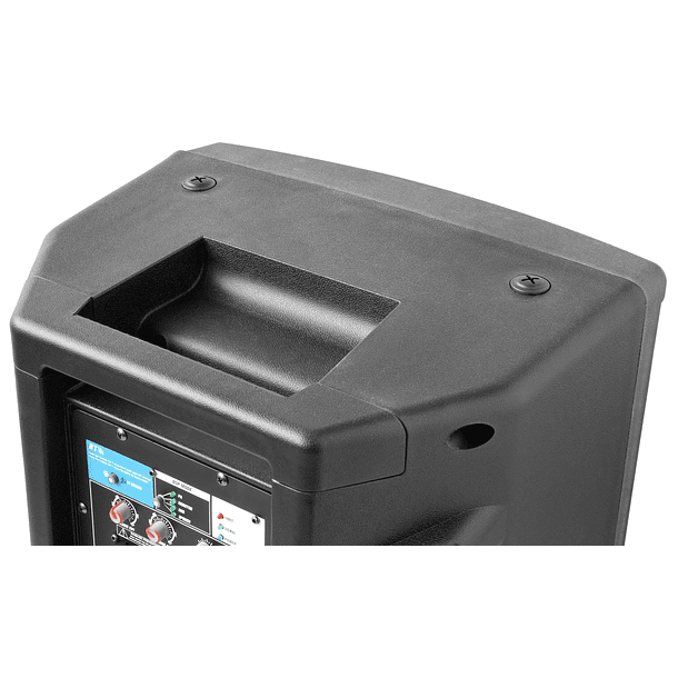 Coluna Profissional Bi-Amplificada 10